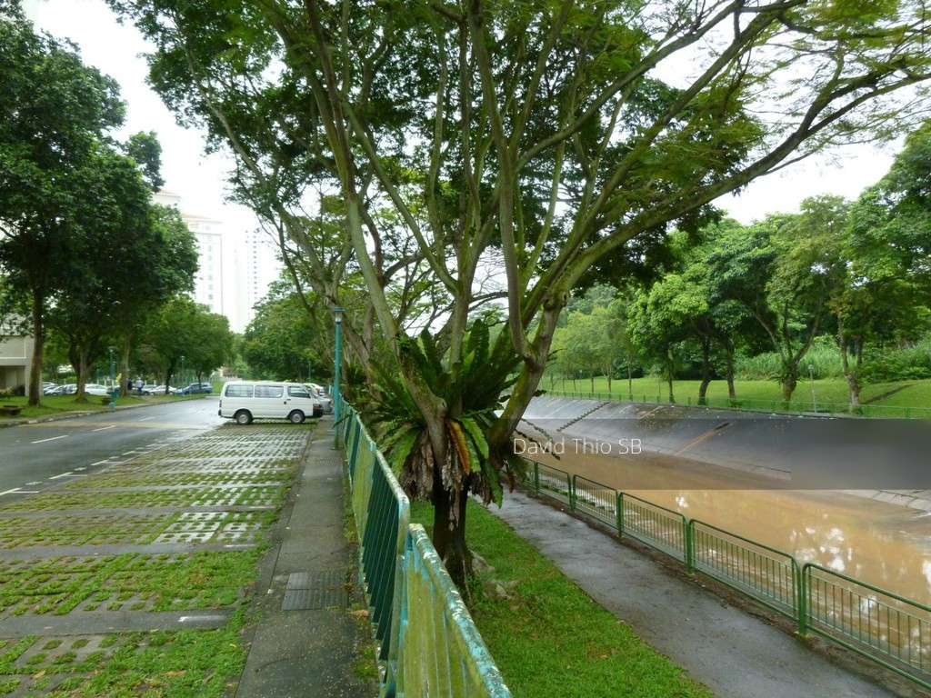 Pine Grove (D21), Condominium #119868372